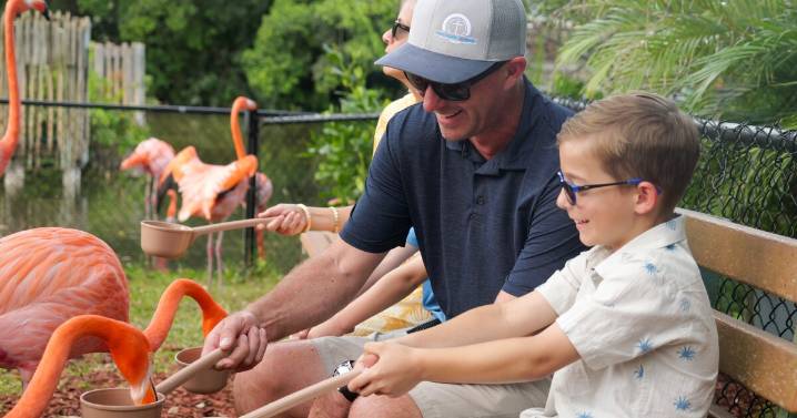 5 fun things to do this weekend: Flamingos, flight simulators, giant heart selfies and more