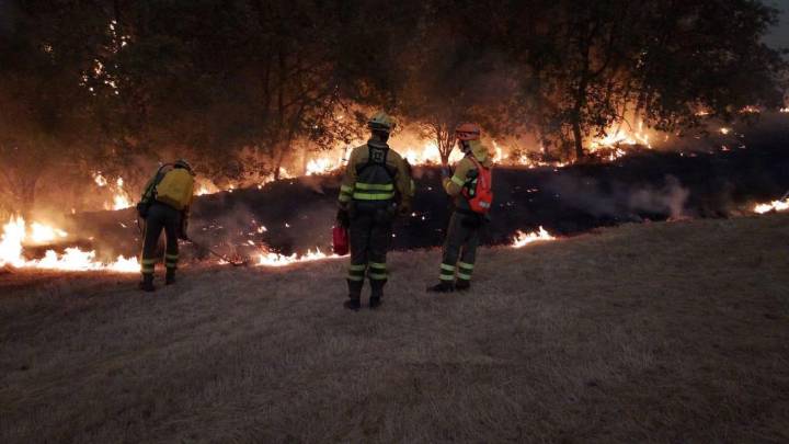 Castilla y León, devorada por el fuego y sin descanso: 10 incendios de nivel 2 amenazan ahora León y Zamora