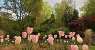 List of all Nottingham parks set to benefit from new £765k fund