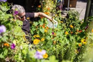 NW Portland neighbors say they’ve created an oasis. Police officers see an obstacle