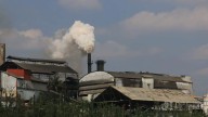Productores de caña de azúcar en Córdoba advierten crisis por competencia desleal