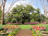 Descubre la magia del parque Airlie Gardens en Wilmington