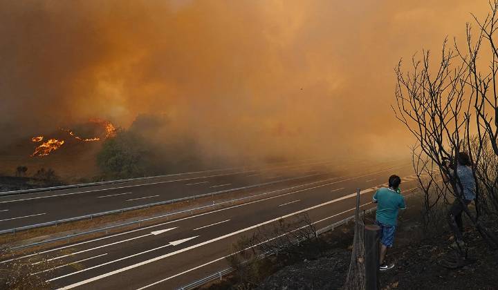 Incendios en España: más de 343 mil hectáreas consumidas por el fuego