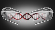 What is directed evolution?