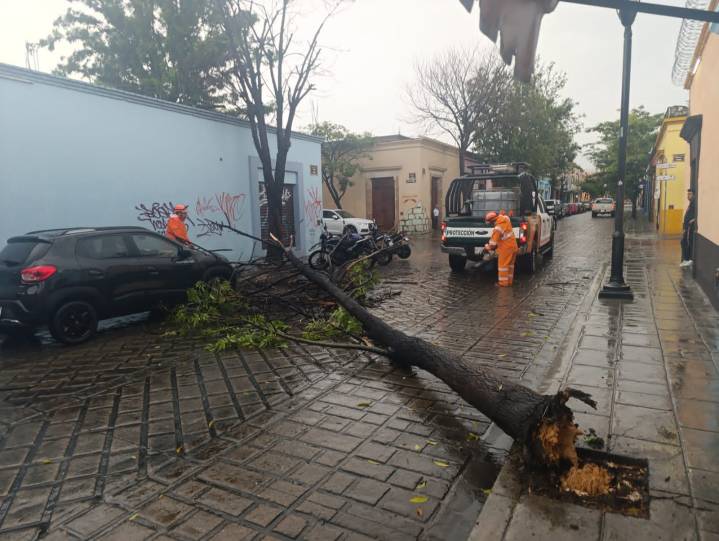 Activa Ayuntamiento de Oaxaca de Juárez el Plan Lluvia Segura