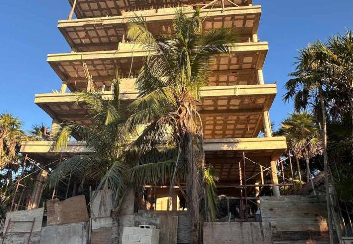 Subprocurador de Profepa desconoce caso Adhamar en Tulum