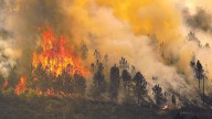Los incendios del verano calcinaron ya más que todo lo que ardió en 2024
