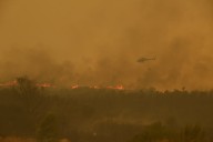 Última hora de los incendios en España, en directo |El incendio en un municipio de Ourense ya es el más grande de la historia de Galicia tras quemar 16.000 hectáreas