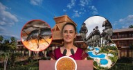 Hotel de la Sedena en Tulum, inaugurado hace menos de un año, tiene una grave plaga de escarabajo barrenador y pone en peligro a los huéspedes; cuatro compañías ya buscan adjudicarse el contrato para 