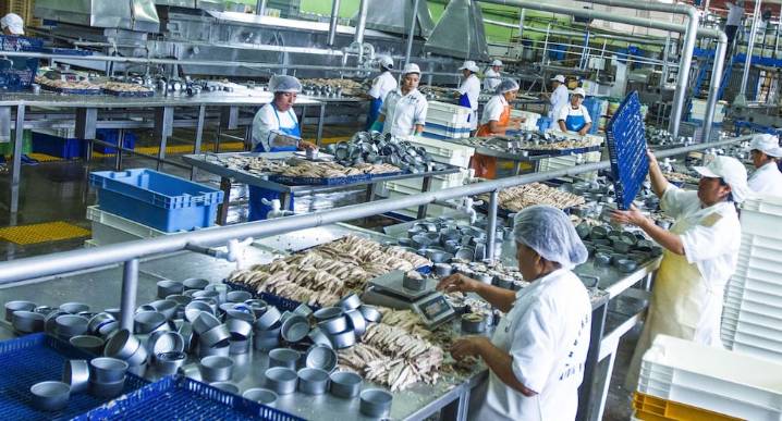 Produce capacita a operadores de la cadena productiva pesquera y acuícola
