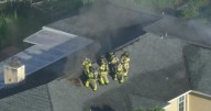 Dog rescued from house fire near Homestead, two cats didn't survive
