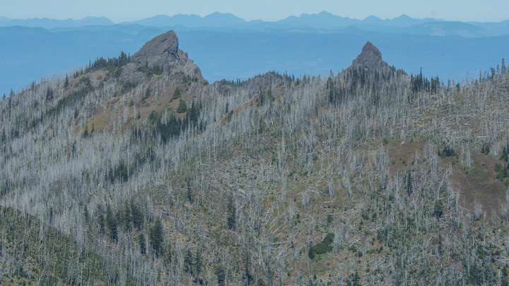 Federal agents arrest fire crew members at Washington wildfire