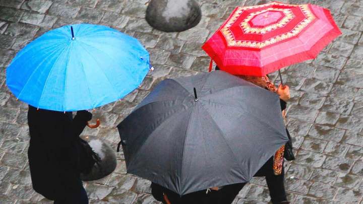 Lluvias y vientos de hasta 90 km/h: Revisa las zonas en donde caerán precipitaciones este martes
