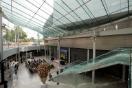 Director warns that the Van Gogh Museum may close if the Dutch government doesn't help fund repairs
