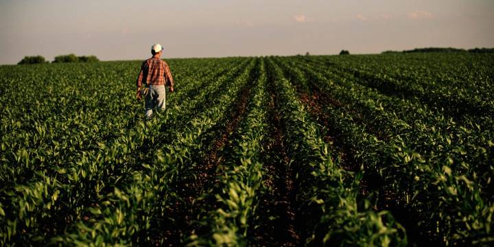Rural America is suffering an economic crisis as crop prices plunge
