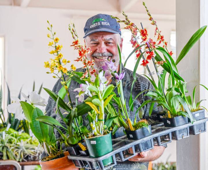 Garden Island Orchid Society hosts Fall orchid show and sale this weekend