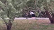 Blind Buckeye man trapped unde fallen tree