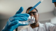 En un laboratorio “accidentalmente” se descubrió una rara mutación que puede cambiar la historia de la humanidad