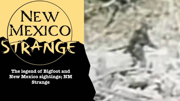 The legend of Bigfoot and New Mexico sightings; NM Strange