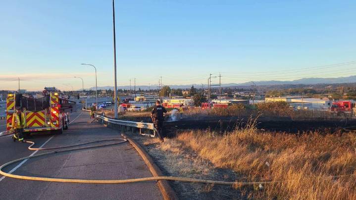 1 dead, 2 injured in Everett rollover crash