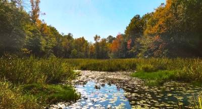 Trump Interior Department opens more than 7,000 acres of public land to Alabama hunters