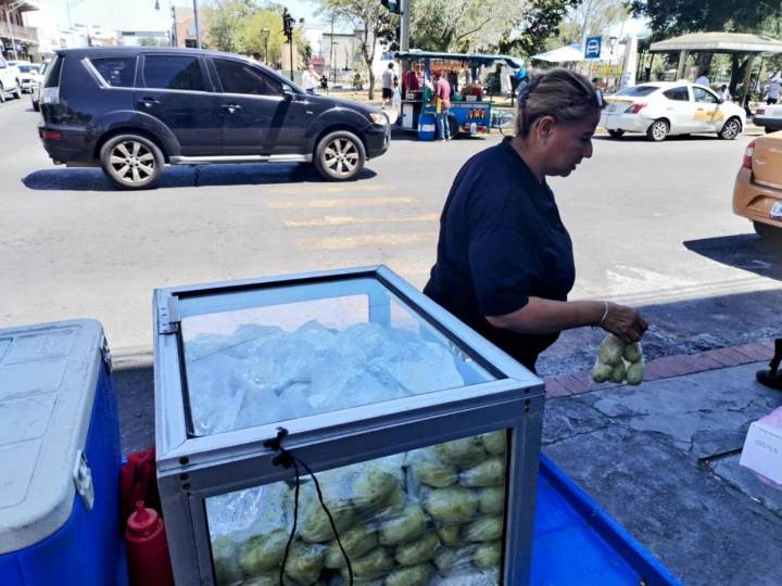 Alerta por intenso calor en el cierre de Canícula