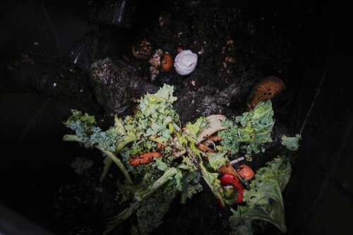 Composting helps the planet. This is how to do it, no matter where you live