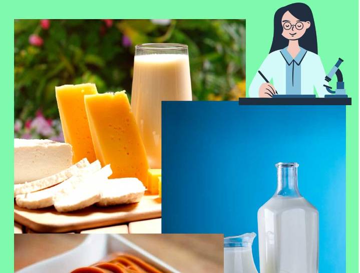 Diplomado en calidad y transformación de leche