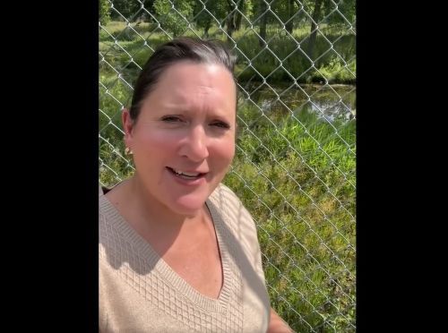 Mayor Knox shares facts and updates about iconic deer pen at Island Park