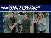 Bike thieves caught on Tesla camera in Preston, WA