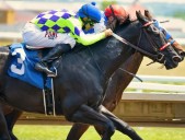 Lawsuit Challenges Florida's Live Racing Slot Machine Requirement For Thoroughbred Tracks