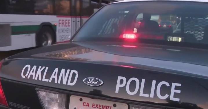 Oakland officers shot at while responding to domestic dispute, police say