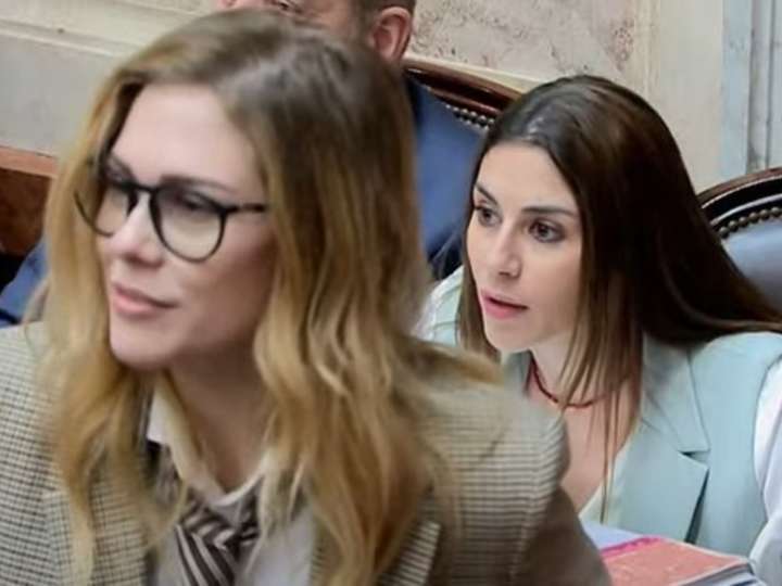 Lilia Lemoine se paró para tapar la cámara cuando hablaba Marcela Pagano y se desató un bochorno en Diputados