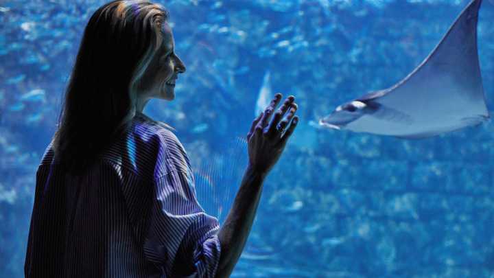 Are you a Florida teacher? SeaWorld offering free ticket to theme park