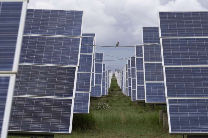 China races to build world’s largest solar farm to meet emissions targets
