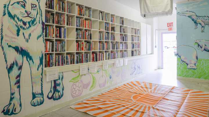 The Lynx owners to unveil new library at Grace Marketplace in Gainesville