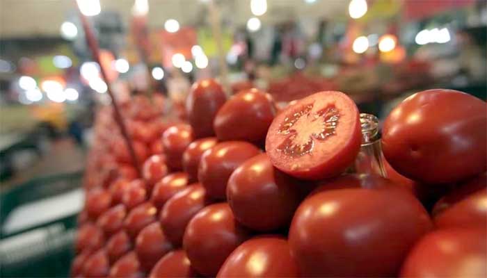 Tras aranceles el precio del tomate rojo cae hasta un 30%