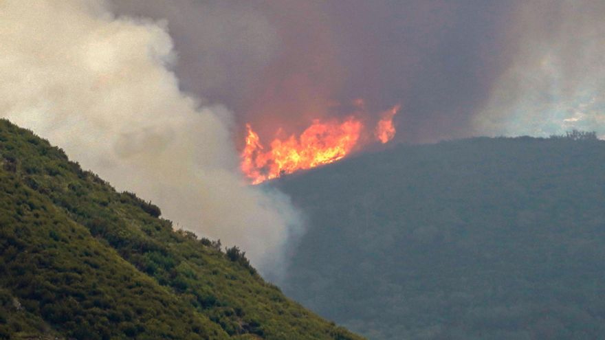 Los incendios arrasan miles de hectáreas de Asturias, Galicia, Extremadura y Castilla y León