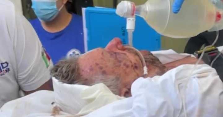 Man trying to rescue dog stung 500 times by 'killer bees'
