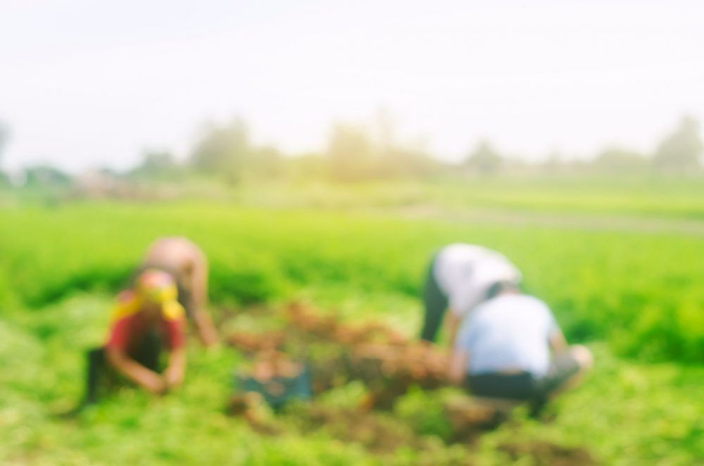 NFU opposes immigration legislation