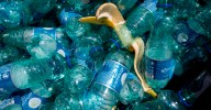 Rechazo masivo al nuevo texto del tratado sobre contaminación de plásticos