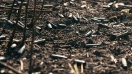 Violencia en Cundinamarca: La masacre que conmociona a Mesitas del Colegio