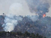 Colorado fires: Lee wildfire near Meeker grows to 113,000 acres