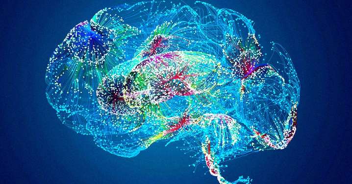 Doctors Horrified After Google's Healthcare AI Makes Up a Body Part That Does Not Exist in Humans