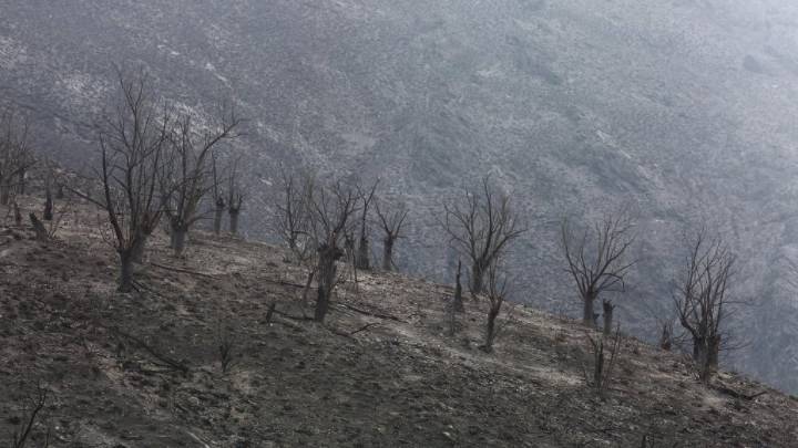 Nace la Plataforma Ciudadana Stop Incendios Noroeste Peninsular para reclamar "responsabilidades políticas"