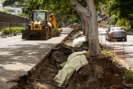 El Ayuntamiento de Santa Cruz niega que haya talas por las obras del Viera y Clavijo