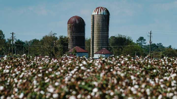 Georgia Tech researcher seeks means to remove greenhouse gases in agriculture