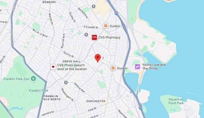 Police kill dog that mauled someone in Dorchester