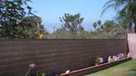 San Diego families say a fire risk is growing in their backyards
