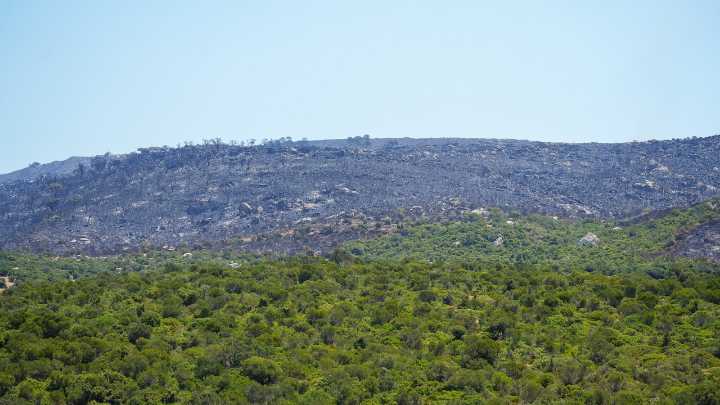 El avance de la despoblación también está detrás del fuego en Andalucía